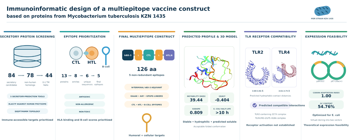Graphical Abstract